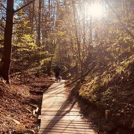 Casa Al Mare ホームステイ *